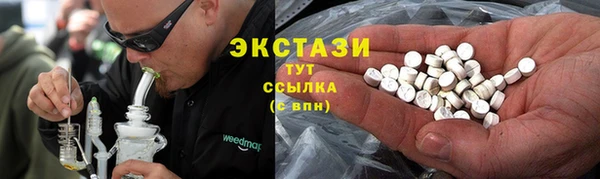 2c-b Бородино