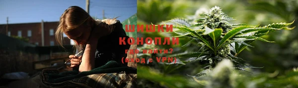 2c-b Бородино