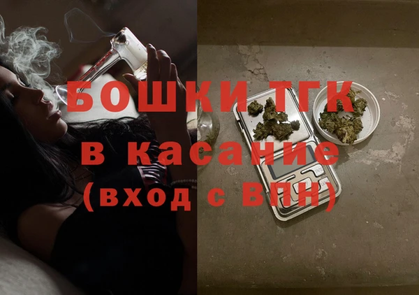 2c-b Бородино