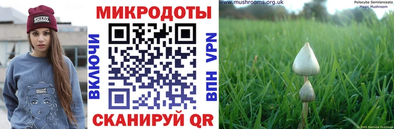 Купить закладки  Отрадное  Галлюциногенные грибы Psilocybe 